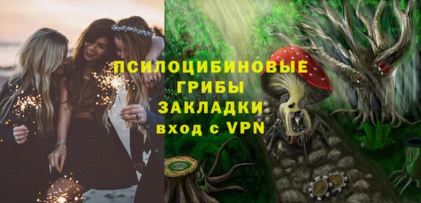 молекула духа Михайловск