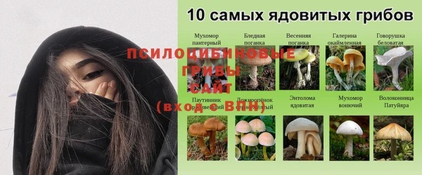 молекула духа Михайловск