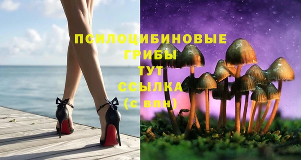 молекула духа Михайловск