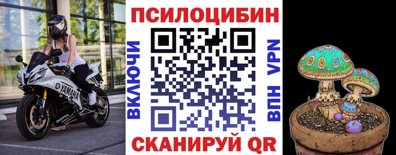 Псилоцибиновые грибы Psilocybe  МЕГА ссылка  Электрогорск 