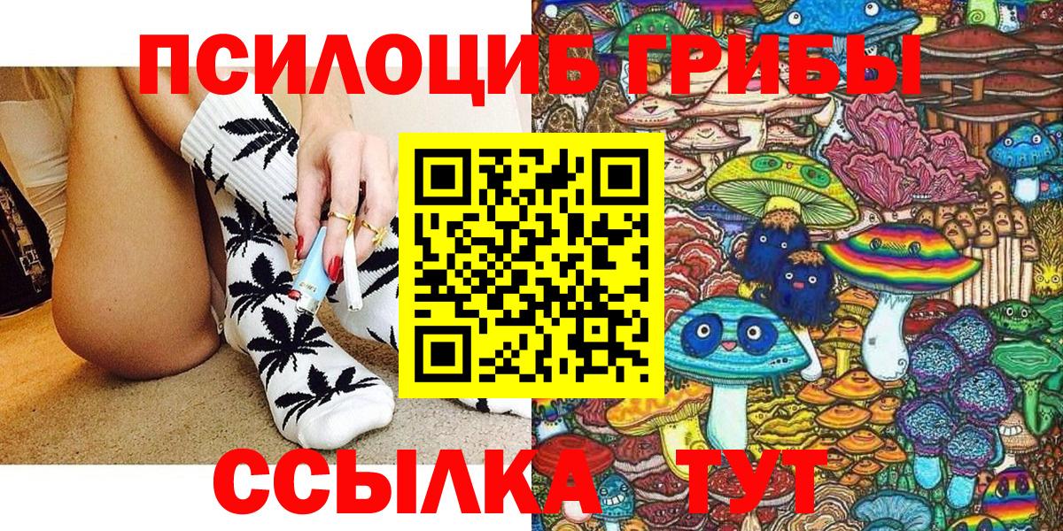 Электрогорск  Галлюциногенные грибы ЛСД  Вход с VPN  Галлюциногенные грибы Psilocybe 