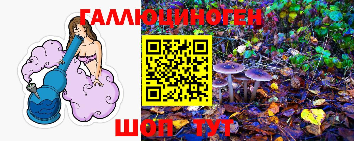 Псилоцибиновые грибы Psilocybine cubensis Электрогорск